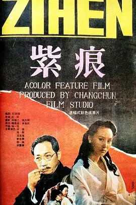 紫痕（1991），主演：宋佳、张力、迟志强、李志舆、成科、刘佼佼 高清海报