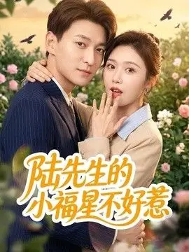 陆先生的小福星不好惹（2026），主演：肖涵、何为 高清海报