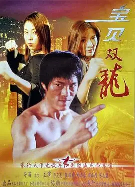 宝贝双龙（2002），主演：苏志威、张耀扬、石天龙、张宝雯、龙生 高清海报