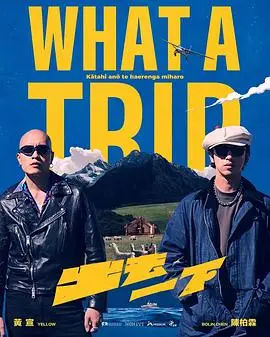 出去一下What A Trip（2025），主演：新田真剑佑、陈柏霖、叶舒华、桂纶镁、草野大成、许光汉、黄宣 高清海报