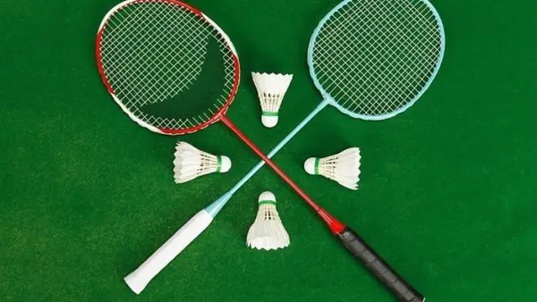 2023海露羽毛球赛李洋王齐麟VS谭强周昊东