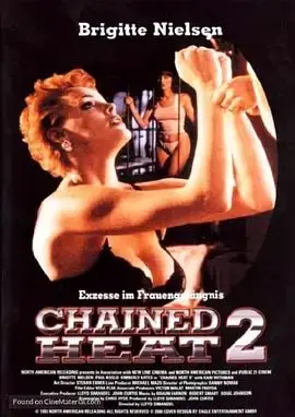 魔鬼黑狱（1993），主演：布里吉特·尼尔森、保罗·科斯罗、金伯莉·凯茨、Lloyd A. Simandl 高清海报