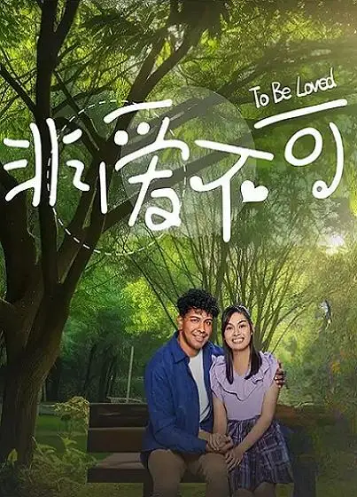 非爱不可（2024），主演：赖宏恩、俞宏荣、刘玲玲、叶世品、孙政、崇喆、林昭婷、梁嘉靖、洪丽婷、洪爱玲、熊杰豪、苏智诚、苏珈仪、莉玉、郭亮、郭坤耀、黎格欣、卢燕金、李嘉维、谭少偶 高清海报