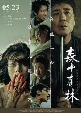 森中有林（2026），主演：于和伟、高圆圆、韩庚、张天爱、郑执 高清海报