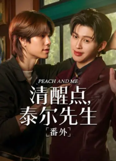 清醒点 泰尔先生番外篇（2026），主演：纳拉维特·勒拉格苏、纳塔彭·蒙空萨瓦 高清海报