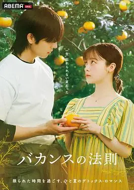 度假法则（2026），主演：蔡钟协、桥本环奈、东村明子 高清海报