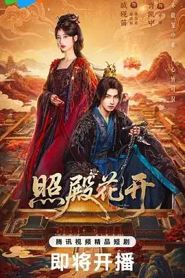 照殿花开（2026），主演：柏杉、肖凯中、戚砚笛、俐乐 高清海报