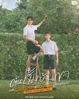 当橘子掉落时（2026），主演：西瓦·萨瓦玛尼固、Ken Kanthee Limpitkranon、朋苏万·素晚沙提、帕萨维什·塔玛松吉迪、塔南·罗哈瓦塔那库 高清海报
