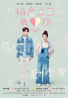 稍息立正我爱你 高清在线观看