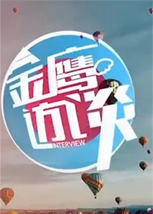 金鹰访谈2013 高清在线观看