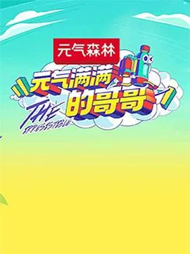 元气满满的哥哥 高清在线观看