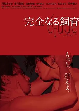 完全饲育 etude 高清在线观看