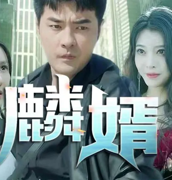 麟婿 高清在线观看