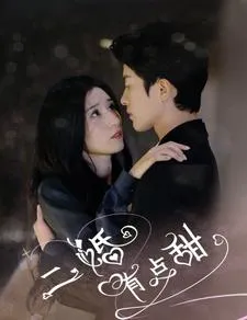 二婚有点甜 高清在线观看