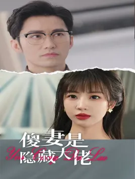 傻妻是隐藏大佬 高清在线观看