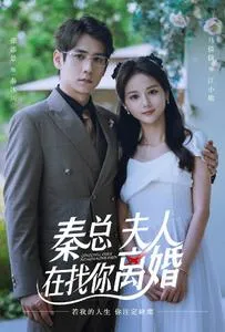 秦总，夫人在找你离婚 高清在线观看