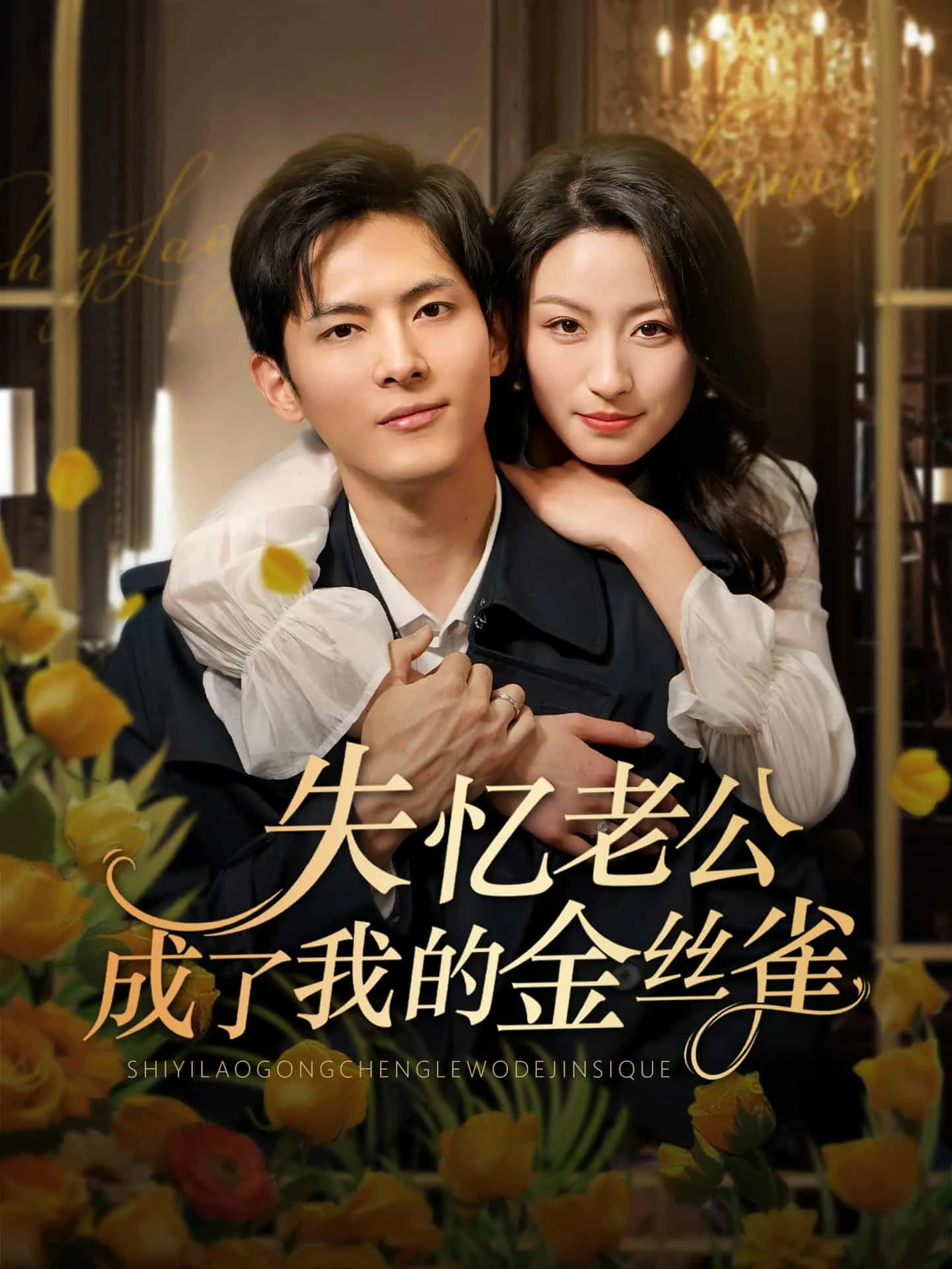 失忆老公成了我的金丝雀 高清在线观看