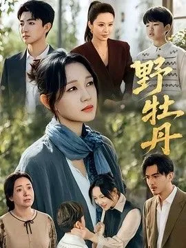 野牡丹 高清在线观看