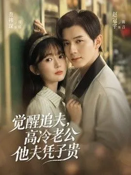 觉醒追夫，高冷老公他夫凭子贵 高清在线观看