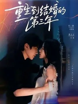 重生到结婚的第三年 高清在线观看