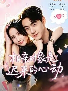 相亲对象是迟来的心动 高清在线观看