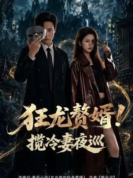 狂龙赘婿！揽冷妻夜巡 高清在线观看