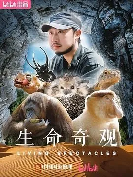 生命奇观 高清在线观看