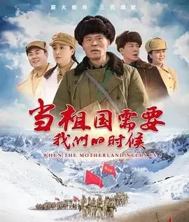 当祖国需要我们的时候 高清在线观看