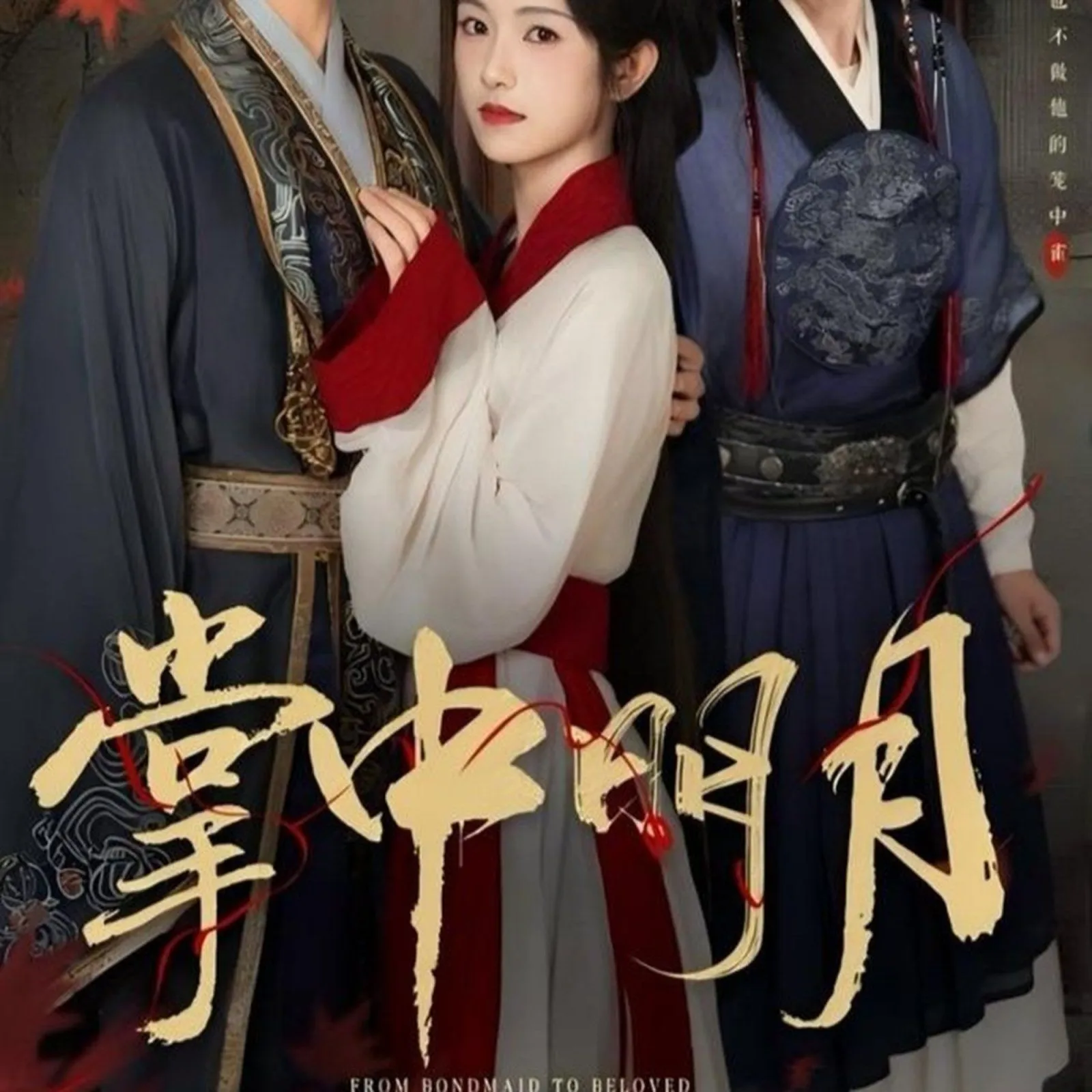 掌中明月 高清在线观看